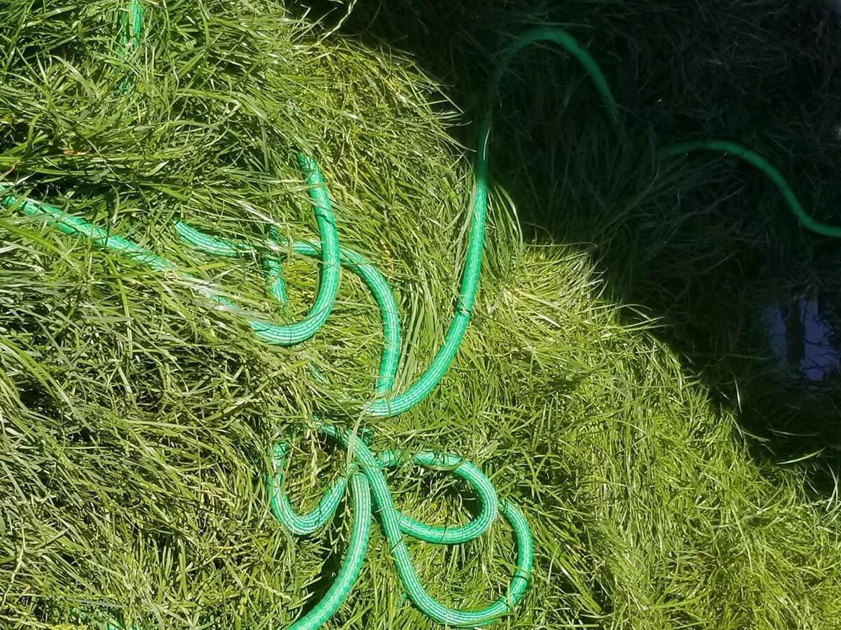 How Do I Know What Size of Garden Hose I Need?