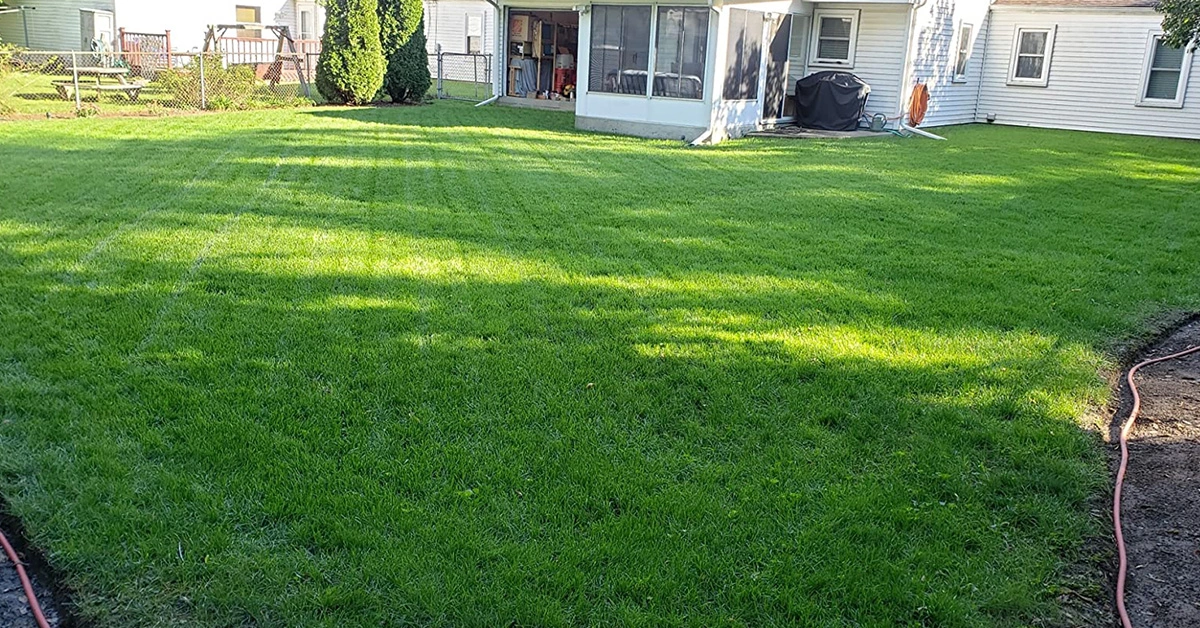 3 Tips for Take Care Lawn You Need to Know